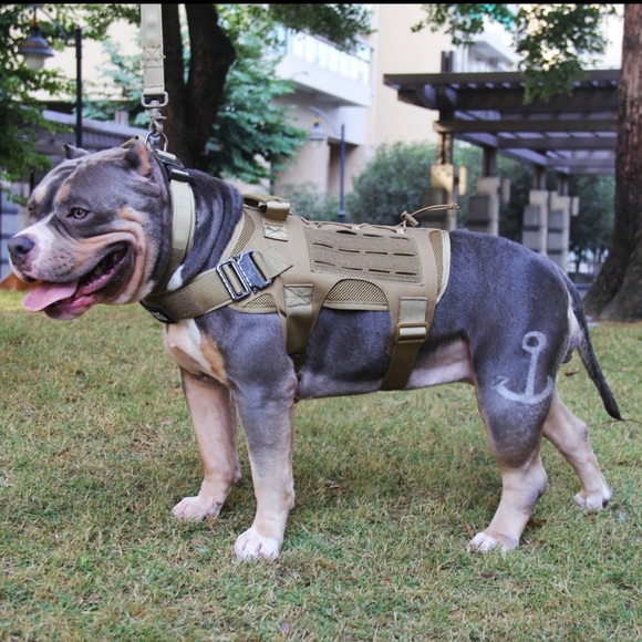 Tactical Dog Harness with Pouch